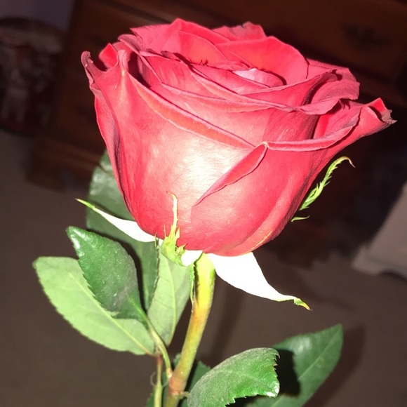 kayla_rossen